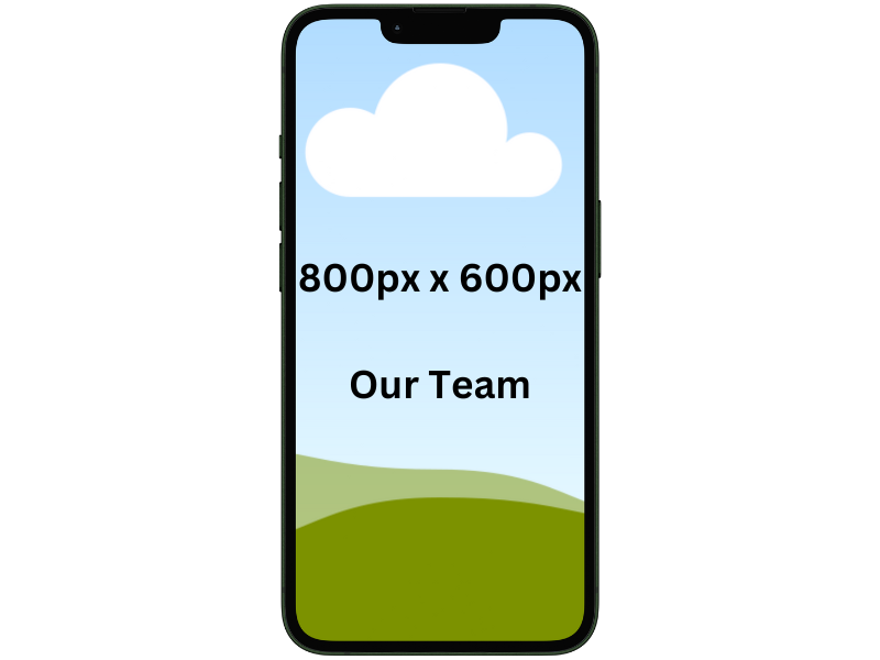Our Team